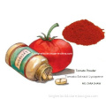 100% Natural Tomato Powder Food Additive